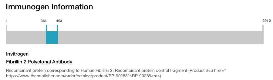 Fibrillin 2 Polyclonal Antibody