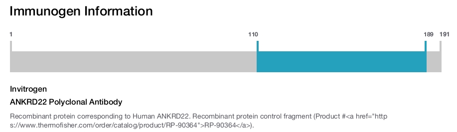 ANKRD22 Polyclonal Antibody