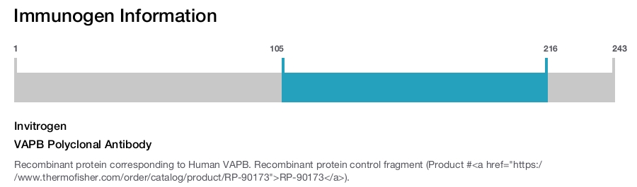 VAPB Polyclonal Antibody