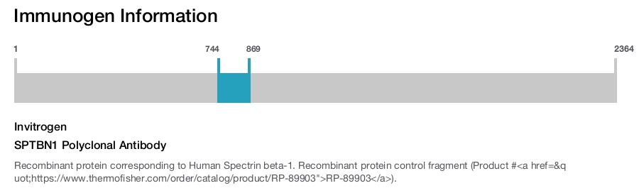 SPTBN1 Polyclonal Antibody