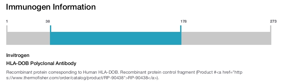 HLA-DOB Polyclonal Antibody