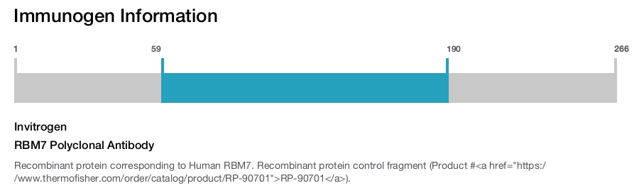RBM7 Polyclonal Antibody