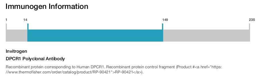 DPCR1 Polyclonal Antibody