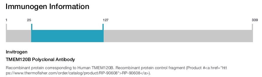 TMEM120B Polyclonal Antibody