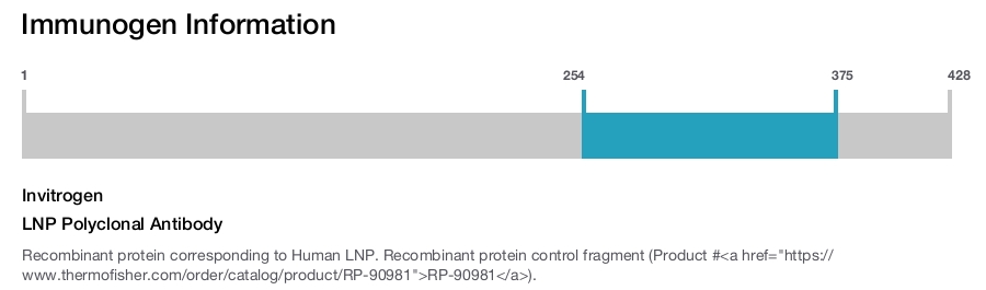 LNP Polyclonal Antibody