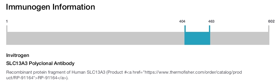 SLC13A3 Polyclonal Antibody