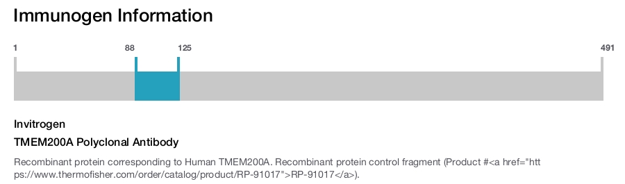 TMEM200A Polyclonal Antibody