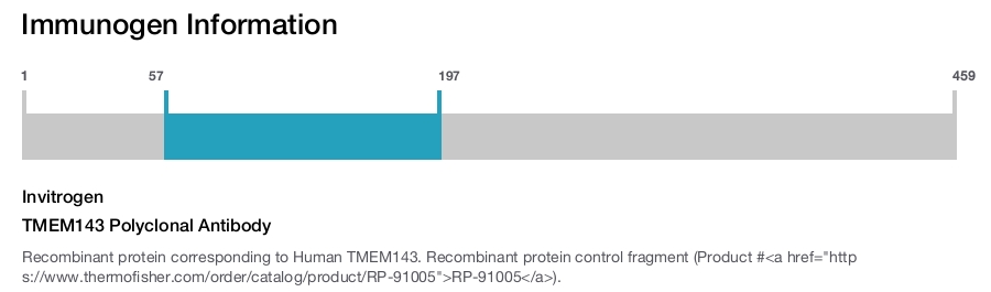 TMEM143 Polyclonal Antibody
