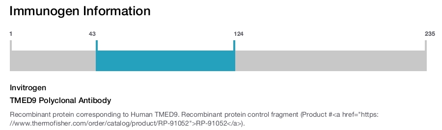 TMED9 Polyclonal Antibody