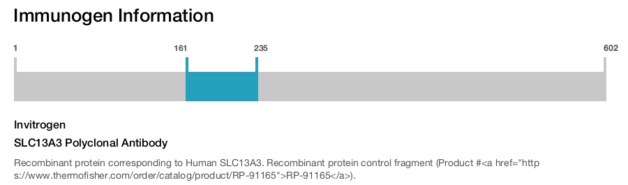 SLC13A3 Polyclonal Antibody