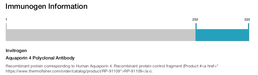 Aquaporin 4 Polyclonal Antibody