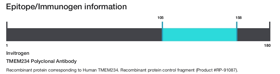 TMEM234 Polyclonal Antibody