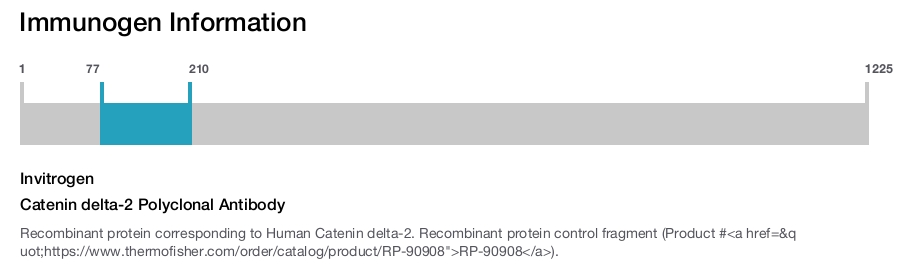 Catenin delta-2 Polyclonal Antibody