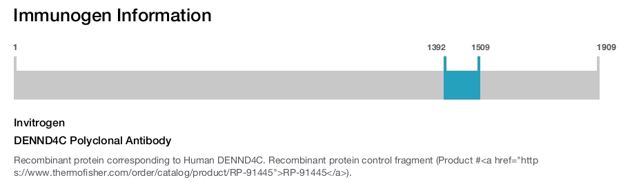 DENND4C Polyclonal Antibody