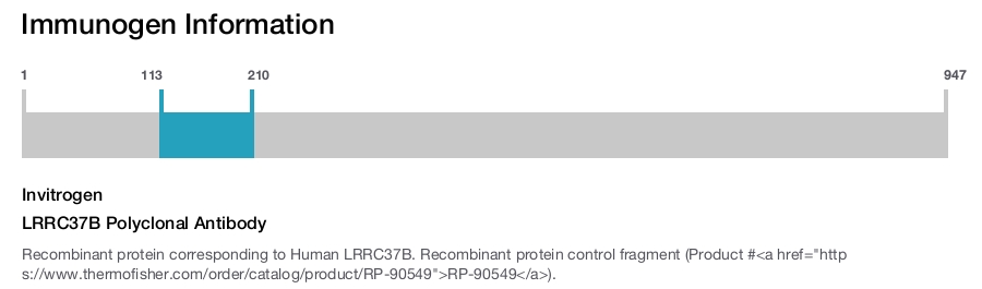 LRRC37B Polyclonal Antibody