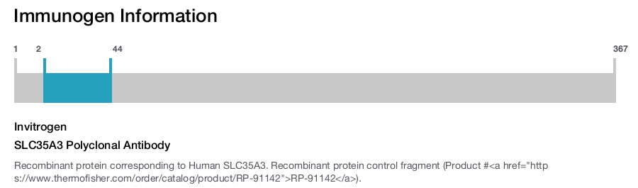 SLC35A3 Polyclonal Antibody