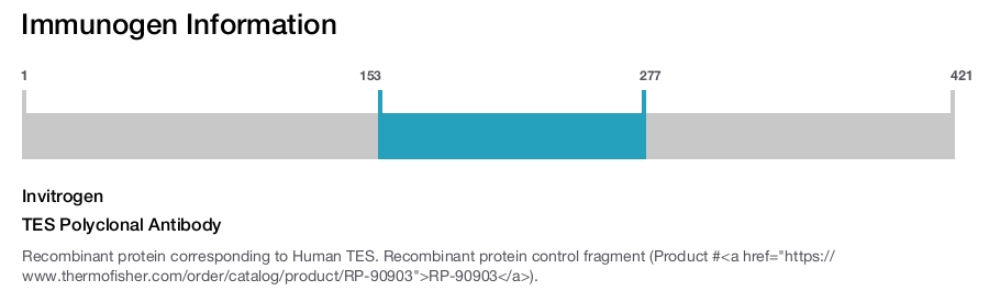 TES Polyclonal Antibody