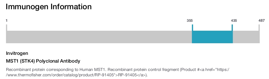 MST1 (STK4) Polyclonal Antibody