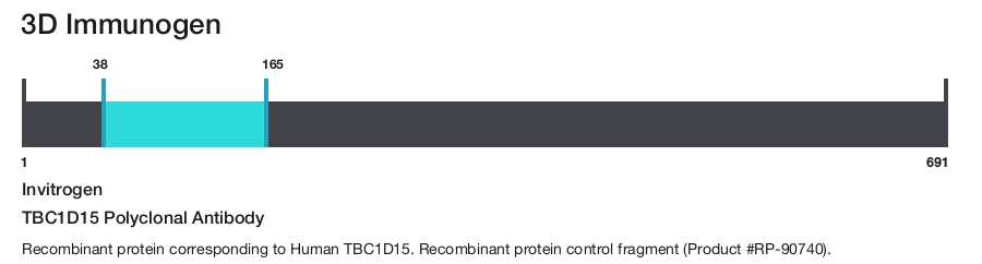 TBC1D15 Polyclonal Antibody