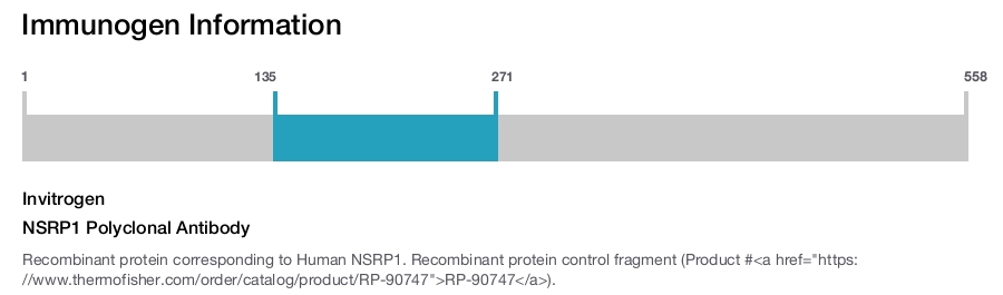 NSRP1 Polyclonal Antibody