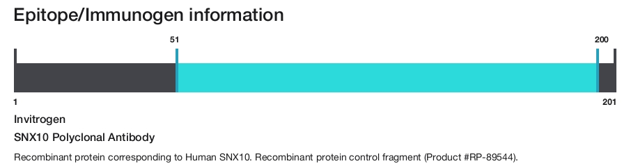 SNX10 Polyclonal Antibody