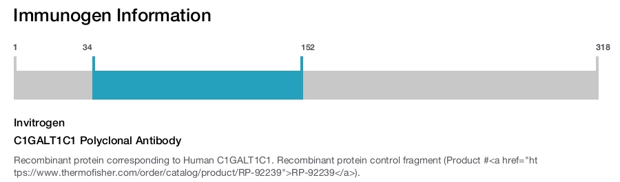 C1GALT1C1 Polyclonal Antibody