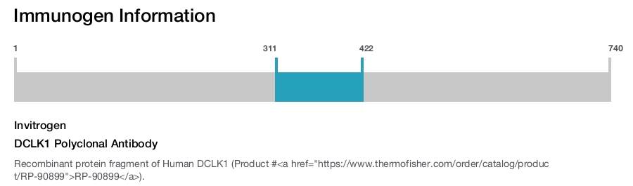 DCLK1 Polyclonal Antibody