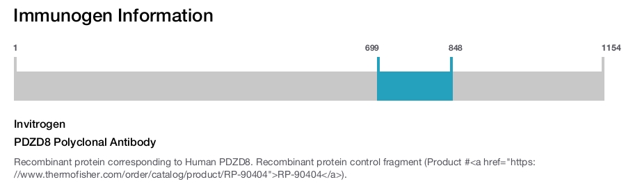 PDZD8 Polyclonal Antibody