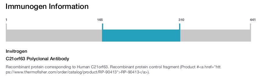 C21orf63 Polyclonal Antibody