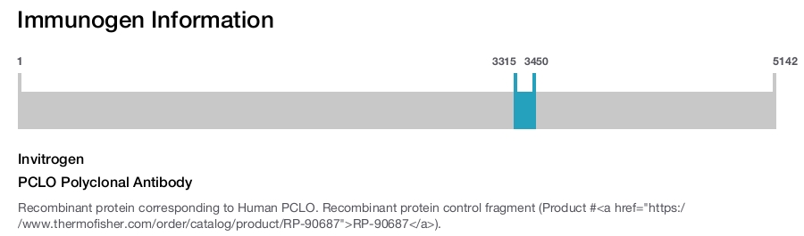 PCLO Polyclonal Antibody