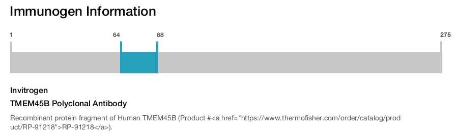 TMEM45B Polyclonal Antibody