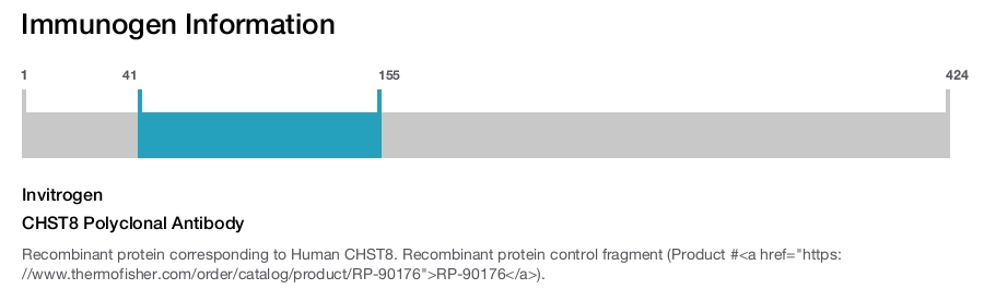 CHST8 Polyclonal Antibody