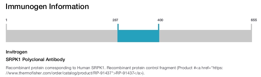 SRPK1 Polyclonal Antibody