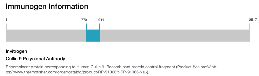 Cullin 9 Polyclonal Antibody