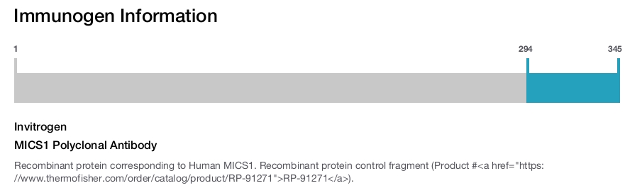 MICS1 Polyclonal Antibody