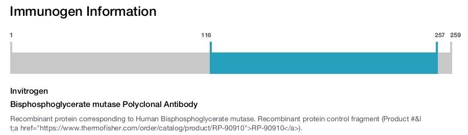 Bisphosphoglycerate mutase Polyclonal Antibody