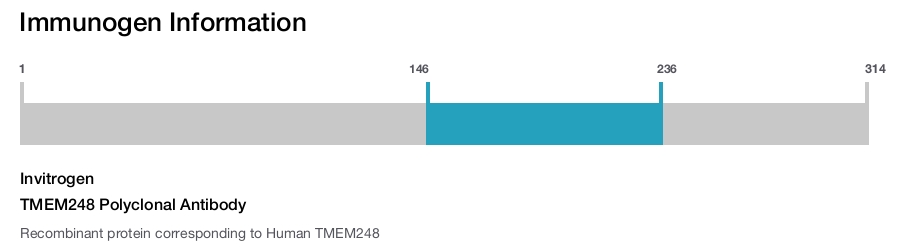 TMEM248 Polyclonal Antibody