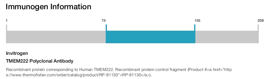 TMEM222 Polyclonal Antibody