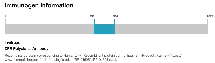 ZFR Polyclonal Antibody