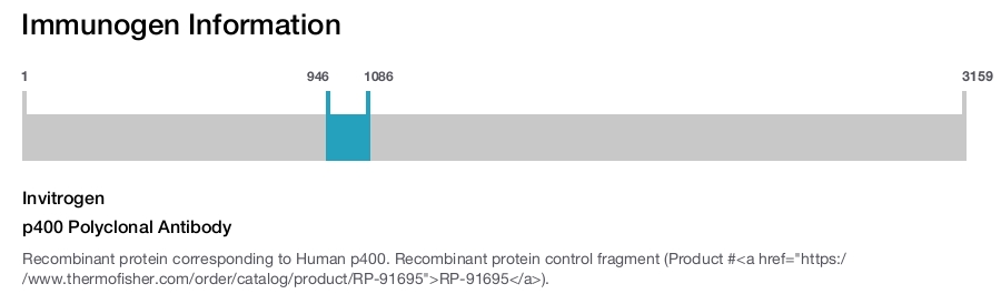 p400 Polyclonal Antibody