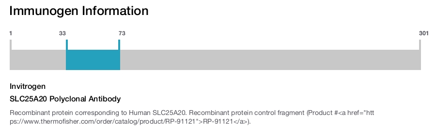 SLC25A20 Polyclonal Antibody