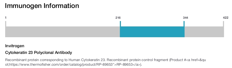Cytokeratin 23 Polyclonal Antibody