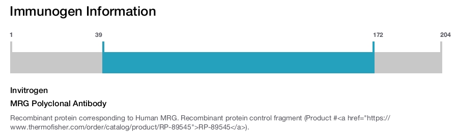 MRG Polyclonal Antibody