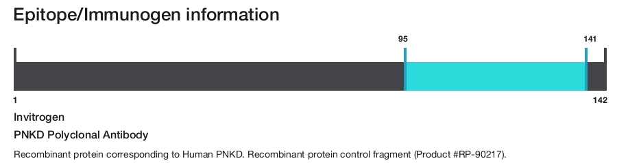 PNKD Polyclonal Antibody