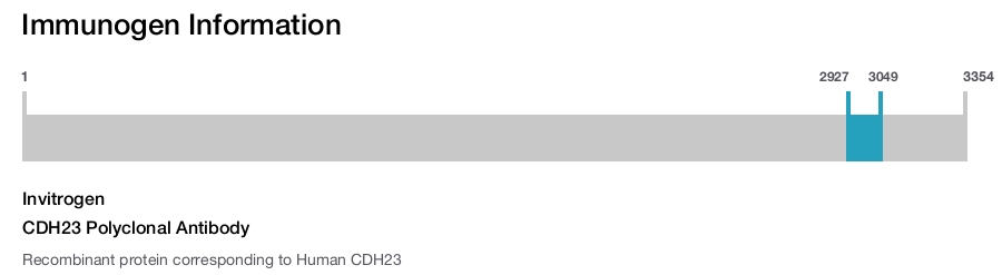 CDH23 Polyclonal Antibody