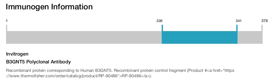 B3GNT5 Polyclonal Antibody