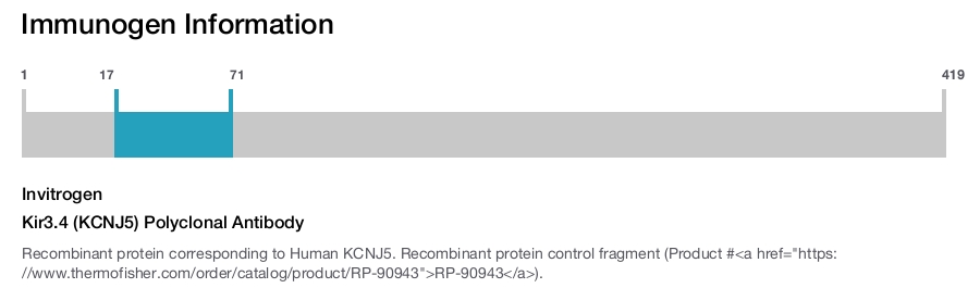 Kir3.4 (KCNJ5) Polyclonal Antibody