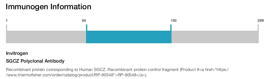SGCZ Polyclonal Antibody