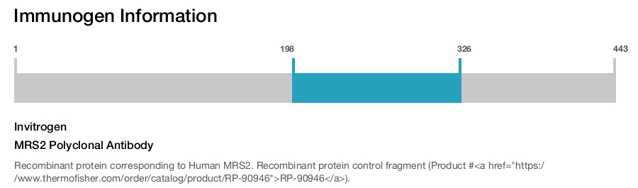 MRS2 Polyclonal Antibody