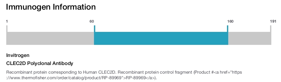 CLEC2D Polyclonal Antibody